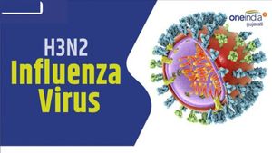 H3N2 influenza virus : H3N2 ઇન્ફ્લુએન્જા વાયરસને કારણે ગુજરાતમાં પહેલું મોત નોંધાયું