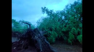 Cyclone Biparjoy: વાવાઝોડુ બિપરજોય ટકરાતા ભારે પવન સાથે અતિ ભારે વરસાદ શરુ, સીએમે કરી સ્થિતિની સમીક્ષા