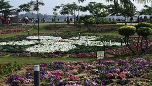 Ahmedabad Flower Show 2024: જાન્યુઆરીમાં સાબરમતી રિવરફ્રન્ટ યોજાશે ફ્લાવર શો 2024, AMCએ શરૂ કરી તૈયારી