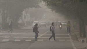 Gujarat Weather: માવઠુ મૂવ થયુ, અમુક જગ્યાએ હળવા વરસાદની સંભાવના, હવે પડશે હાડ થિજાવતી ઠંડી
