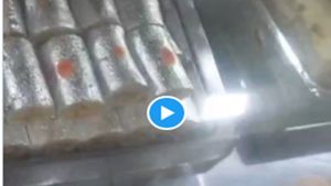 Surat Viral Video: હવે મીઠાઈમાંથી પણ નીકળી જીવાત, વિજય ડેરીનો વીડિયો વાયરલ
