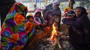 Gujarat Weather: ઠંડી વધશે કે ઘટશે? હવામાન વિભાગે આગામી 5 દિવસની કરી આગાહી  