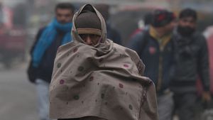 Gujarat Weather: રાજ્યમાં ઠંડીનો પ્રકોપ, પારો 4 ડિગ્રી ગગડ્યો, નલિયામાં સૌથી ઓછુ 9.8