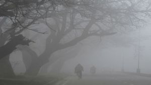 Gujarat Weather: હવામાનમાં પલટો, ઠંડી ઘટશે, જાણો હવામાન વિભાગની આગાહી