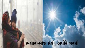 Gujarat Weather: ઠંડીનુ જોર અચાનક ઘટ્યુ, નલિયામાં પારો 13 ડિગ્રી, વરસાદની સંભાવના