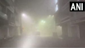 Gujarat Weather: ઠંડીમાં વધ-ઘટ યથાવત, વાદળછાયુ વાતાવરણ, ગરમીનો પારો 1થી 2 ડિગ્રી વધશે