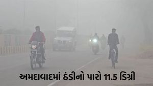 Gujarat Weather: હવામાનમાં આવશે પલટો, ઠંડી વધશે, માવઠાની સંભાવના, જાણો આગાહી