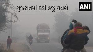 Gujarat Weather: રાજ્યમાં હજુ વધશે કાતિલ ઠંડી, પવન ફૂંકાશે, જાણો શું છે આગાહી