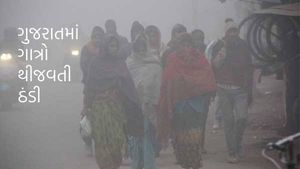 Gujarat Weather: રાજ્યમાં વરસાદ બાદ પારો ગગડ્યો, ધૂમ્મસ અને ઠંડી વધી, જાણો હવામાનની આગાહી