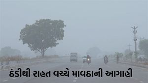 Gujarat Weather: ઠંડીનો પ્રકોપ ઘટ્યો, તાપમાનમાં હવે થશે વધારો, આ દિવસે કમોસમી વરસાદની આગાહી