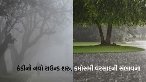 Gujarat Weather: રાહત બાદ ફરીથી વધી ઠંડી, માવઠાના વાદળો પણ ઘેરાયા, જાણો હવામાનની આગાહી