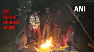 Gujarat Weather: ઠંડીમાં આંશિક ઘટાડો, આગામી દિવસોમાં પારો ઘટશે, અમુક જગ્યાએ માવઠાની સંભાવના