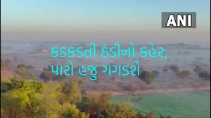 Gujarat Weather: ગુજરાતમાં શિયાળો ચરમ સીમાએ, કાતિલ ઠંડીનો કહેર, હજુ 2થી 3 ડિગ્રી તાપમાન ઘટશે