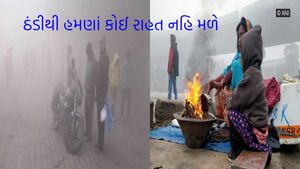 Gujarat Weather: ઠંડા પવનોથી ઠુઠવાયા લોકો, જાણો કોલ્ડવેવ અને વરસાદ અંગે હવામાનની આગાહી