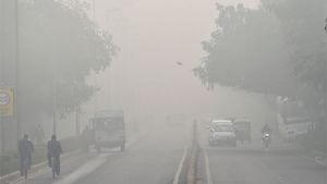 Gujarat Weather: રાજ્યમાં કાતિલ ઠંડીનો ચમકારો, સવારે ગાઢ ધૂમ્મસ, નલિયામાં સૌથી ઓછુ 8.2 ડિગ્રી તાપમાન
