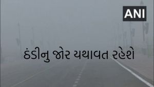 Gujarat Weather: હાડ થીજવતી શીતલહેરનો કહેર, ઠંડા પવનોએ ઘટાડ્યુ તાપમાન, જાણો હવામાનની આગાહી