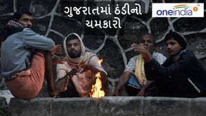 Gujarat weather: ગુજરાતમાં ઠંડીનો ચમકારો, જાણો તમારા શહેરનું તાપમાન