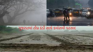 Gujarat Weather: રાજ્યમાં અનેક જગ્યાએ કમોસમી વરસાદ, ઠંડીનો ચમકારો, ખેતીના પાકને નુકસાનનો ડર