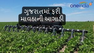 ખેડૂતો પર માવઠાનો માર - ગુજરાતમાં ફરી કમોસમી વરસાદની આગાહી