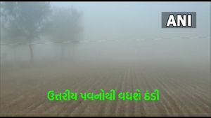 Gujarat Weather: પવનોના કારણે રાજ્યમાં ઠંડીનુ જોર વધશે, જાણો હવામાનની આગાહી 