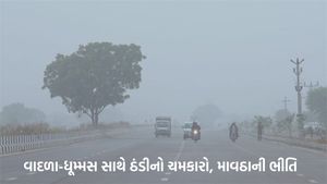 Gujarat Weather: ગુજરાતમાં વાતાવરણ પલટાયુ, ઠંડીનો ચમકારો, વાદળા-ધૂમ્મસ, વરસાદની સંભાવના, ખેડૂતો ચિંતામાં