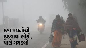 Gujarat Weather: ગુજરાતમાં ઠંડીનો ચમકારો, ઠંડા પવનોથી તાપમાન 2 ડિગ્રી ઘટ્યુ, જાણો હવામાનની આગાહી