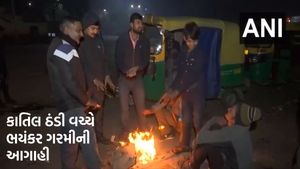 Gujarat Weather: નલિયામાં 8 ડિગ્રી સાથે કાતિલ ઠંડી, વાદળછાયા વાતાવરણ વચ્ચે આવી ભયંકર ગરમીની આગાહી