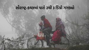 Gujarat Weather: સૌરાષ્ટ્ર-કચ્છમાં તાપમાન ઘટ્યુ, જાણો હવામાન વિભાગની આગાહી