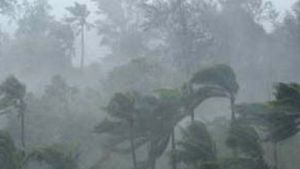 Gujarat Weather: હવામાનમાં પલટો, ઠંડી વધી, ભારે પવન અને માવઠાની આગાહી