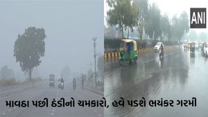 Gujarat Weather: માવઠા બાદ પારો ગગડ્યો, ઠંડી વધી, જાણો હવામાન વિભાગની આગાહી