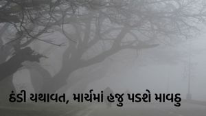 Gujarat Weather: ગુજરાતમાં ઠંડી યથાવત, આ દિવસોમાં આંધી સાથે વરસાદની આગાહી