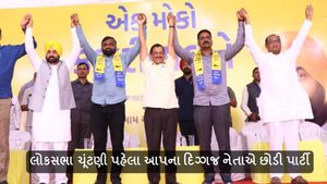 કોંગ્રેસ બાદ આમ આદમી પાર્ટીને પણ ઝટકો, લોકસભા ચૂંટણી પહેલા દિગ્ગજ નેતાએ છોડી પાર્ટી