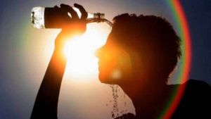 Gujarat Weather: ગુજરાતમાં વધી રહ્યો છે ગરમીનો પારો, જાણો હવામાન વિભાગની આગાહી