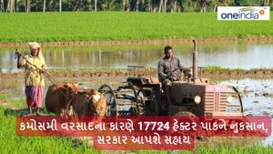 Agriculture News: કમોસમી વરસાદના કારણે 17724 હેક્ટર પાકને નુકસાન, સરકાર આપશે સહાય