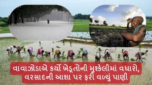 Agriculture news: વાવાઝોડાએ કર્યો ખેડૂતોની મુશ્કેલીમાં વધારો, સૌરાષ્ટ્રમાં ક્યારે થશે વરસાદ?