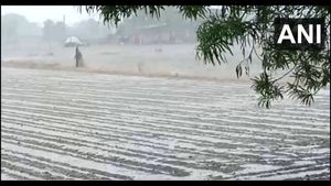 Gujarat Weather: ગુજરાતમાં ચોમાસુ સક્રિય! 25 તાલુકામાં વરસાદ, ખંભાળિયામાં 9 ઈંચ, આજે 29 જિલ્લાઓમાં આગાહી
