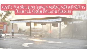 Rajkot Fire Update: રાજકોટ ગેમ ઝોન ફાયર કેસમાં 4 આરોપી અધિકારીઓને 12 દિવસ માટે પોલીસ રિમાન્ડમાં મોકલાયા