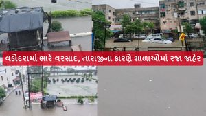 Vadodara Floods: વડોદરામાં ભારે વરસાદ, તારાજીના કારણે શાળાઓમાં રજા જાહેર