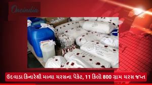Drugs in Gujarat: ઉદવાડા કિનારેથી મળ્યા ચરસના પેકેટ, 11 કિલો 800 ગ્રામ ચરસ જપ્ત