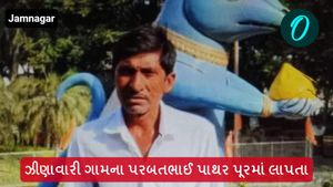 Jamnagar: ઝીણાવારી ગામના પરબતભાઈ પાથર નામના વ્યક્તિ ભારે પૂર આવતા લાપતા થયા