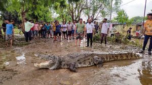Vadodara Crocodile Rescue : વડોદરામાં પૂરના પાણી વચ્ચે ઘરમાંથી 14 ફૂટના મગરનું રેસ્ક્યુ કરાયુ, જુઓ વીડિયો