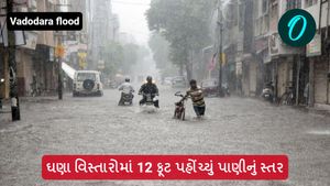 Vadodara Flood: ગુજરાતમાં પૂરનો પ્રકોપ, ઘણા વિસ્તારોમાં 12 ફૂટ પહોંચ્યું પાણીનું સ્તર