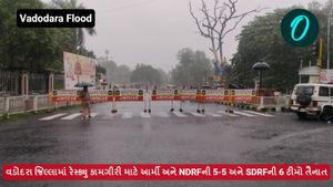 વડોદરા જિલ્લામાં રેસ્ક્યુ કામગીરી માટે આર્મી અને NDRFની 5-5 અને SDRFની 6 ટીમો તૈનાત