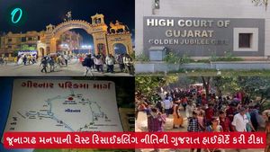 ગિરનાર પર ગંદકી: જૂનાગઢ મનપાની વેસ્ટ રિસાઈકલિંગ નીતિની ગુજરાત હાઈકોર્ટે કરી ટીકા
