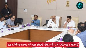રાહત નિયામકના અધ્યક્ષ સ્થાને વેધર વોચ ગૃપની બેઠક યોજાઈ