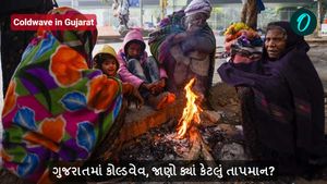 Coldwave in Gujarat: ગુજરાતમાં કોલ્ડવેવ, જાણો ક્યાં કેટલું તાપમાન?