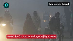 Cold wave in Gujarat: રાજ્યમાં કોલ્ડવેવ યથાવત, જાણો મુખ્ય શહેરોનું તાપમાન