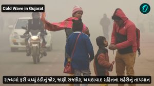 Cold Wave in Gujarat: રાજ્યમાં ફરી વધ્યું ઠંડીનું જોર, જાણો રાજકોટ, અમદાવાદ સહિતના શહેરોનું તાપમાન