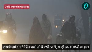 Cold wave in Gujarat: રાજકોટમાં 10 સેલ્સિયસથી નીચે રહ્યો પારો, જાણો અન્ય શહેરોના હાલ