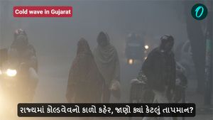 Gujarat Cold wave: રાજ્યમાં કોલ્ડવેવનો કાળો કહેર, જાણો ક્યાં કેટલું તાપમાન?